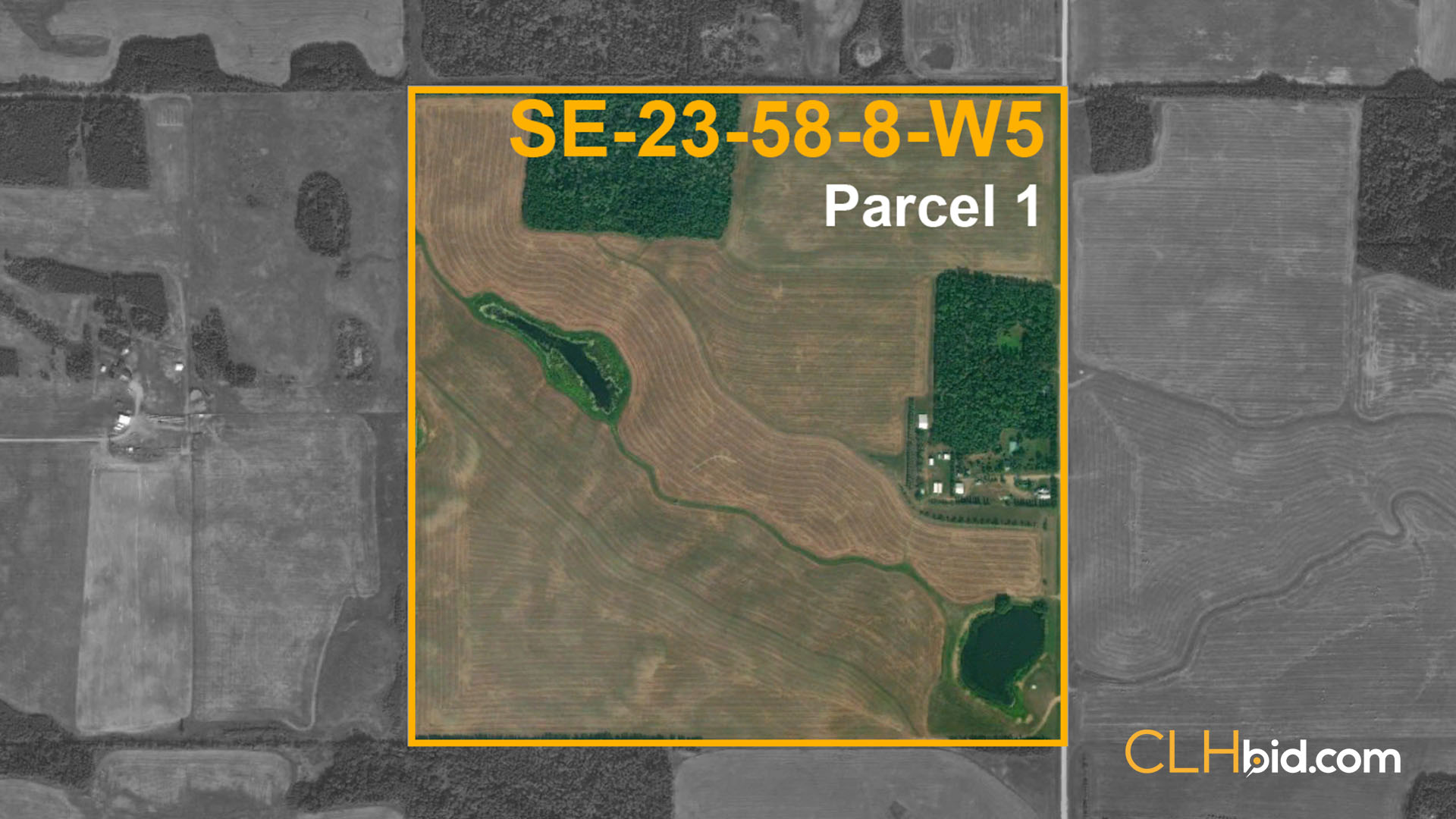 Studebaker P1 - WIDE - Contentful