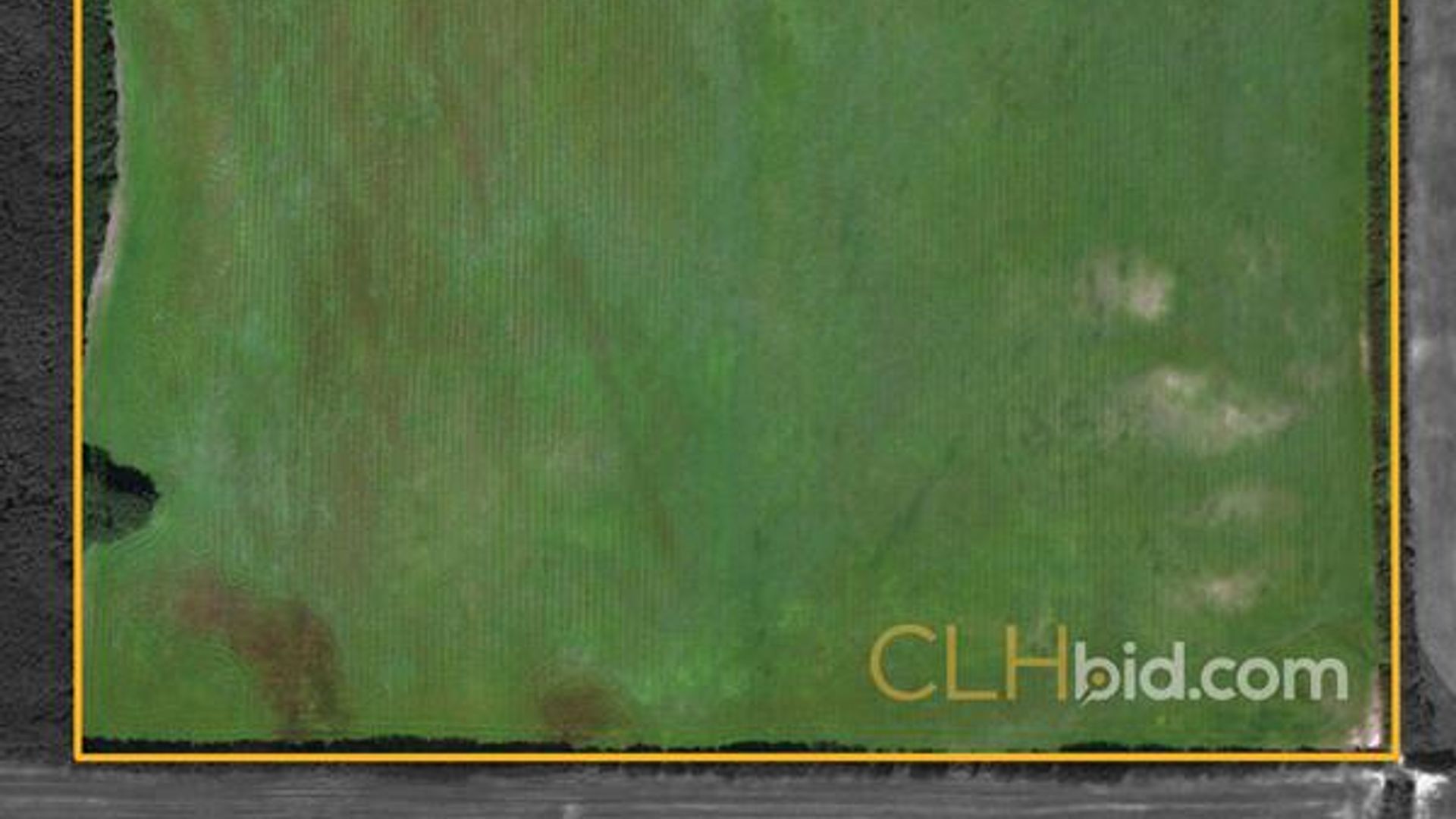 alcescreekhighland-1-2