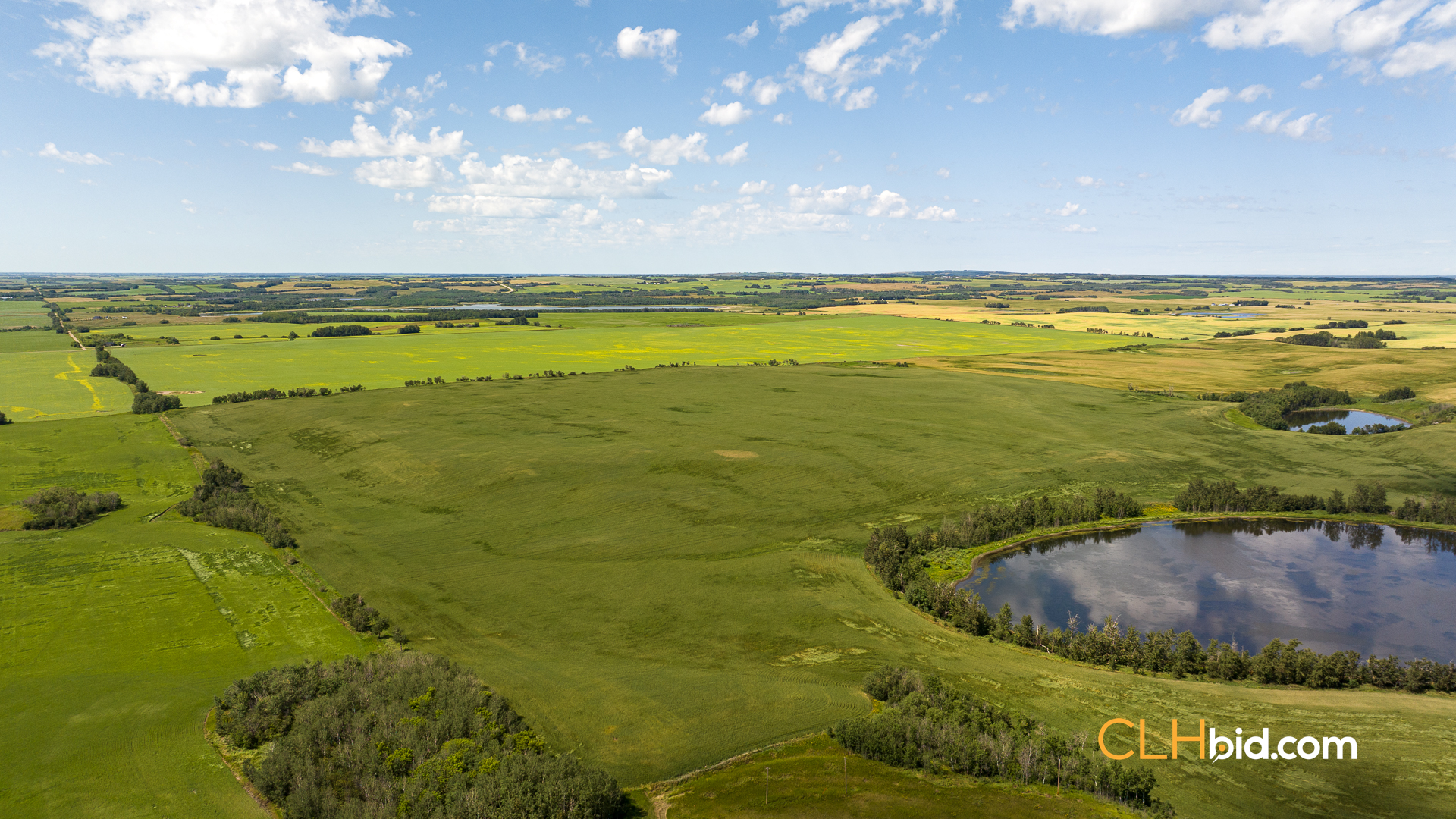 Web-Two-Hills-Next-Level-UPDATED-4