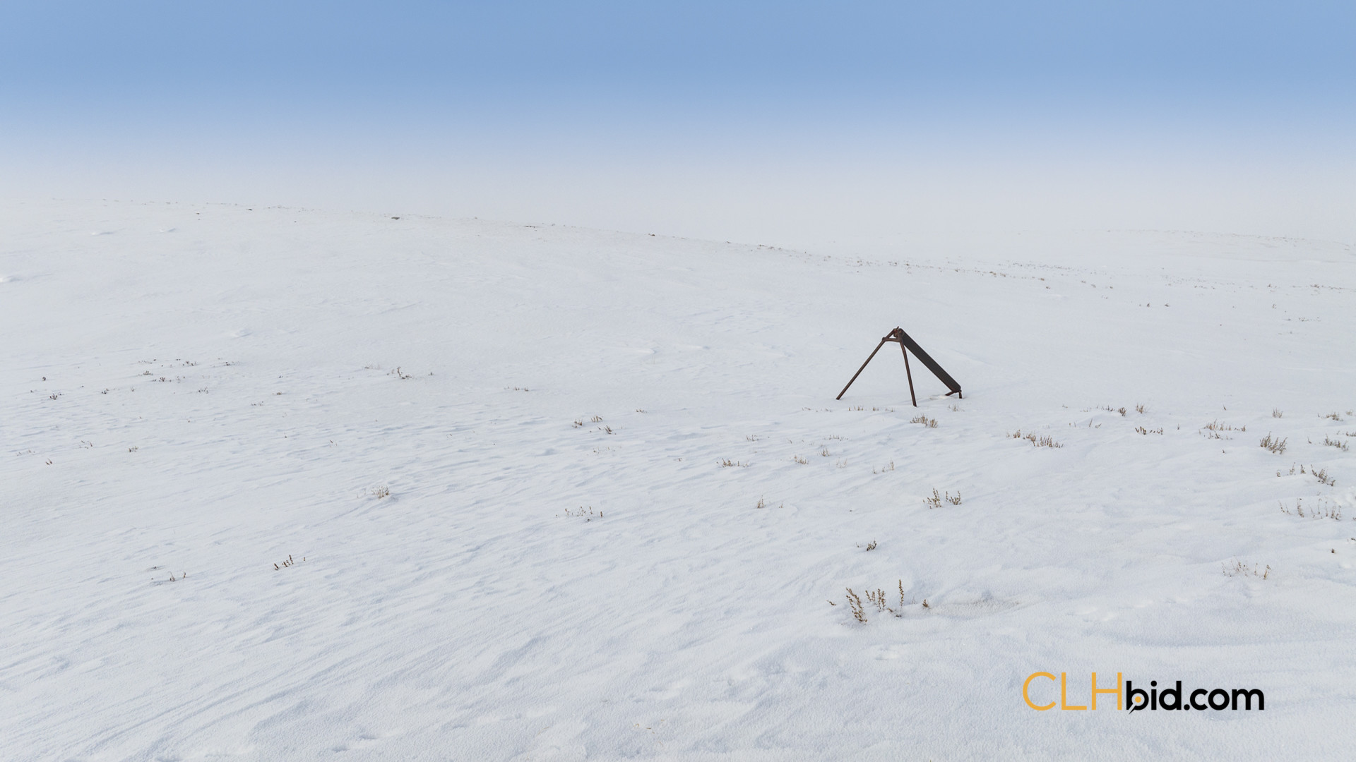 Web169-AcresOfPedigree-57