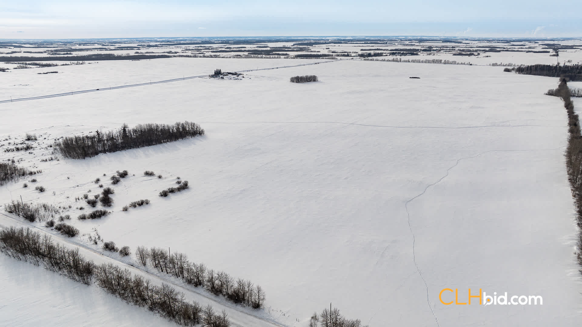 Web-LamontTopGrade-49