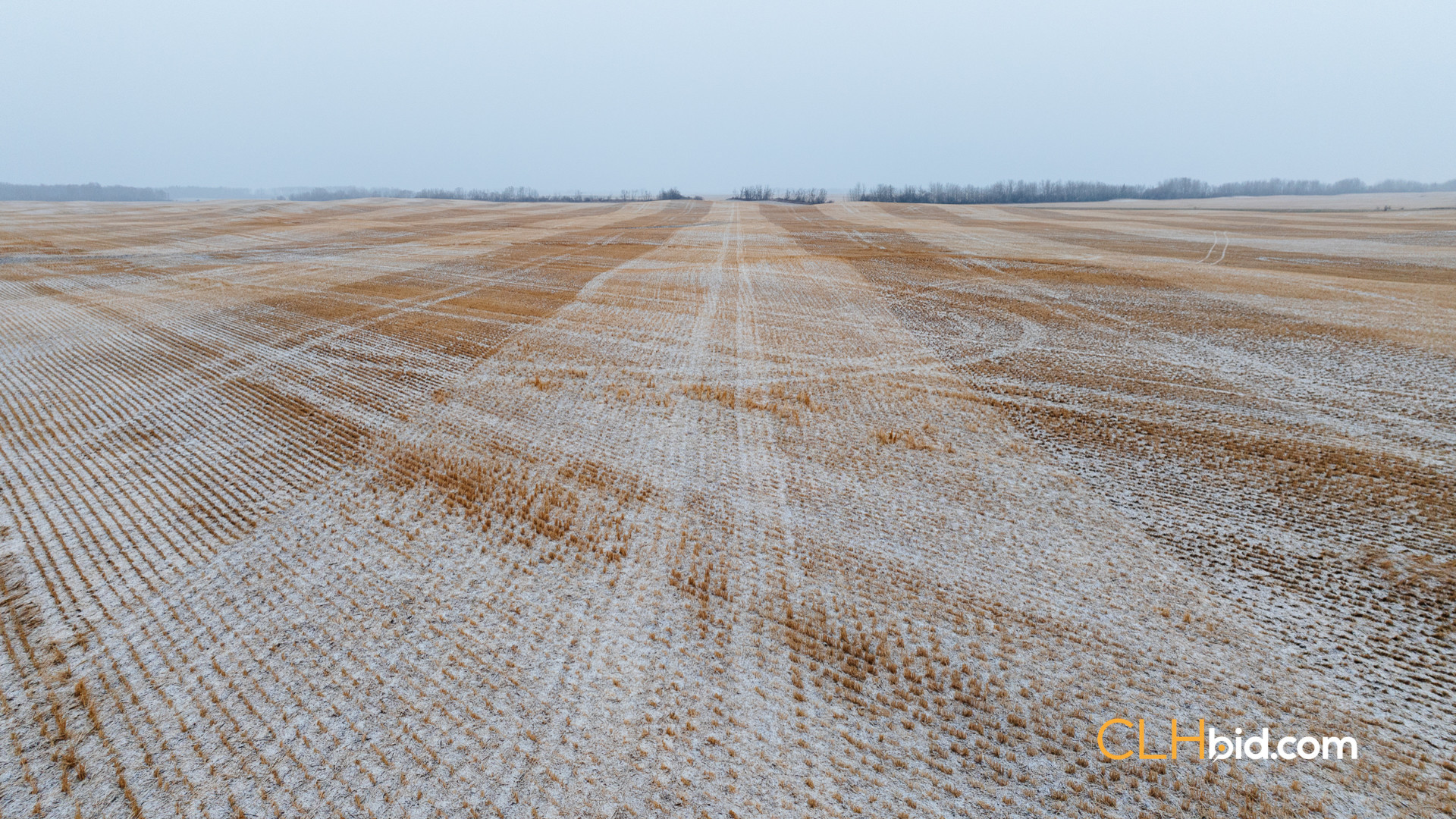 Web Tangent Bounty-4