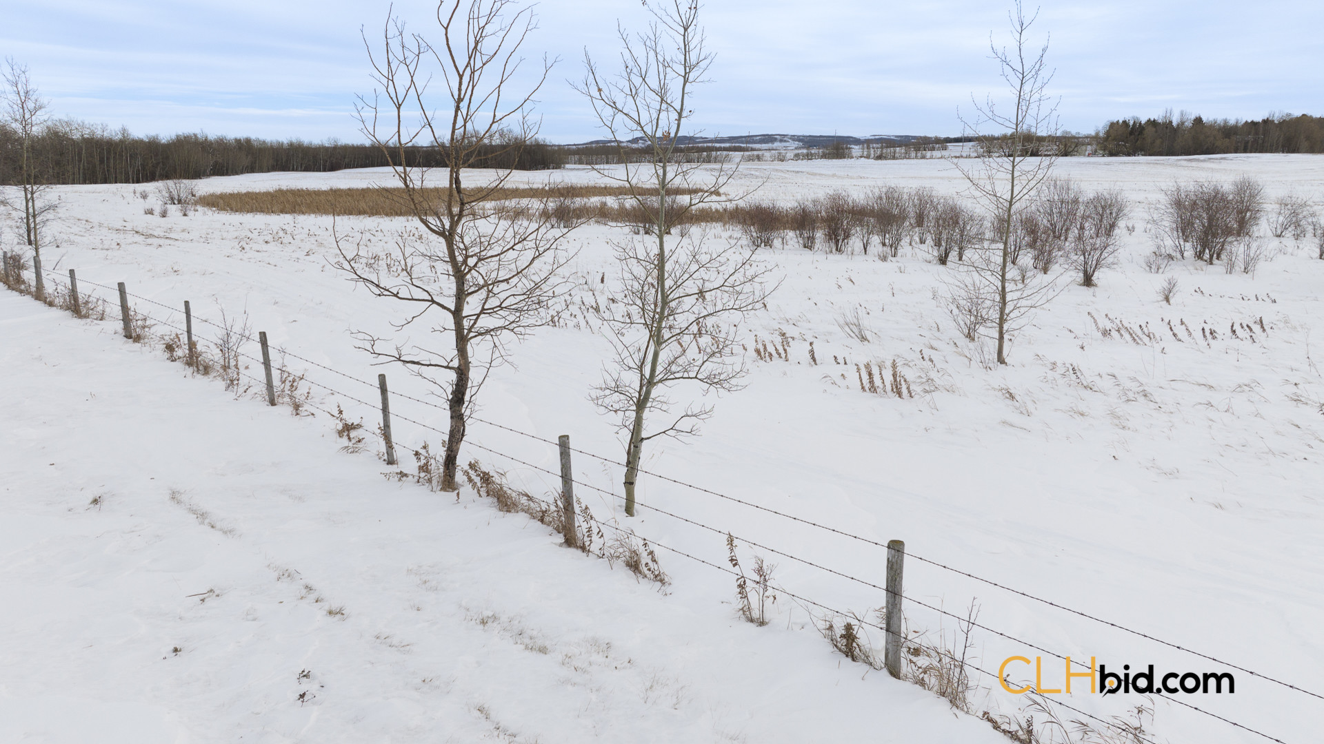 EliteStatus3-Web169-3