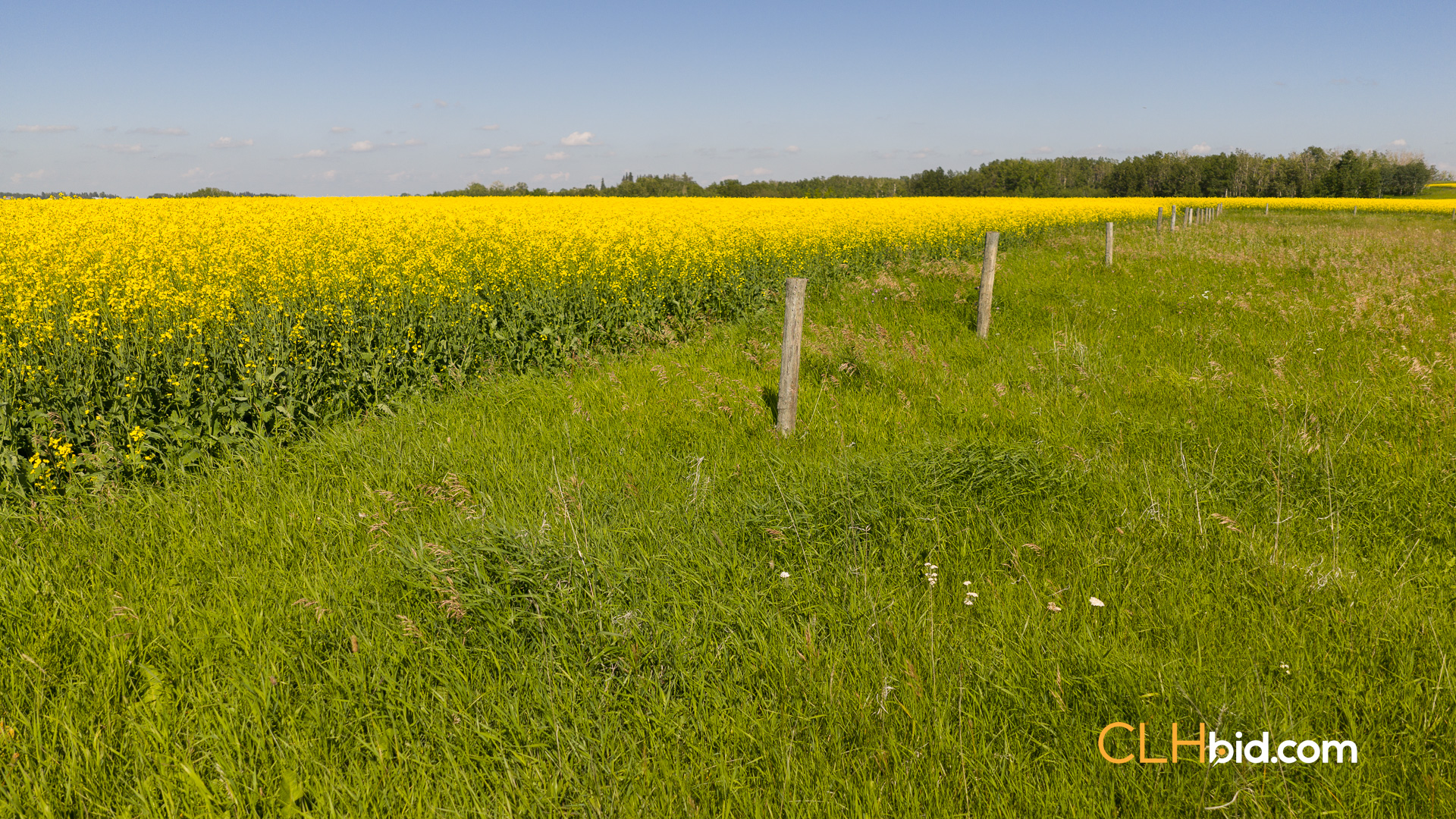 Web-FoothillsHeadliner-16