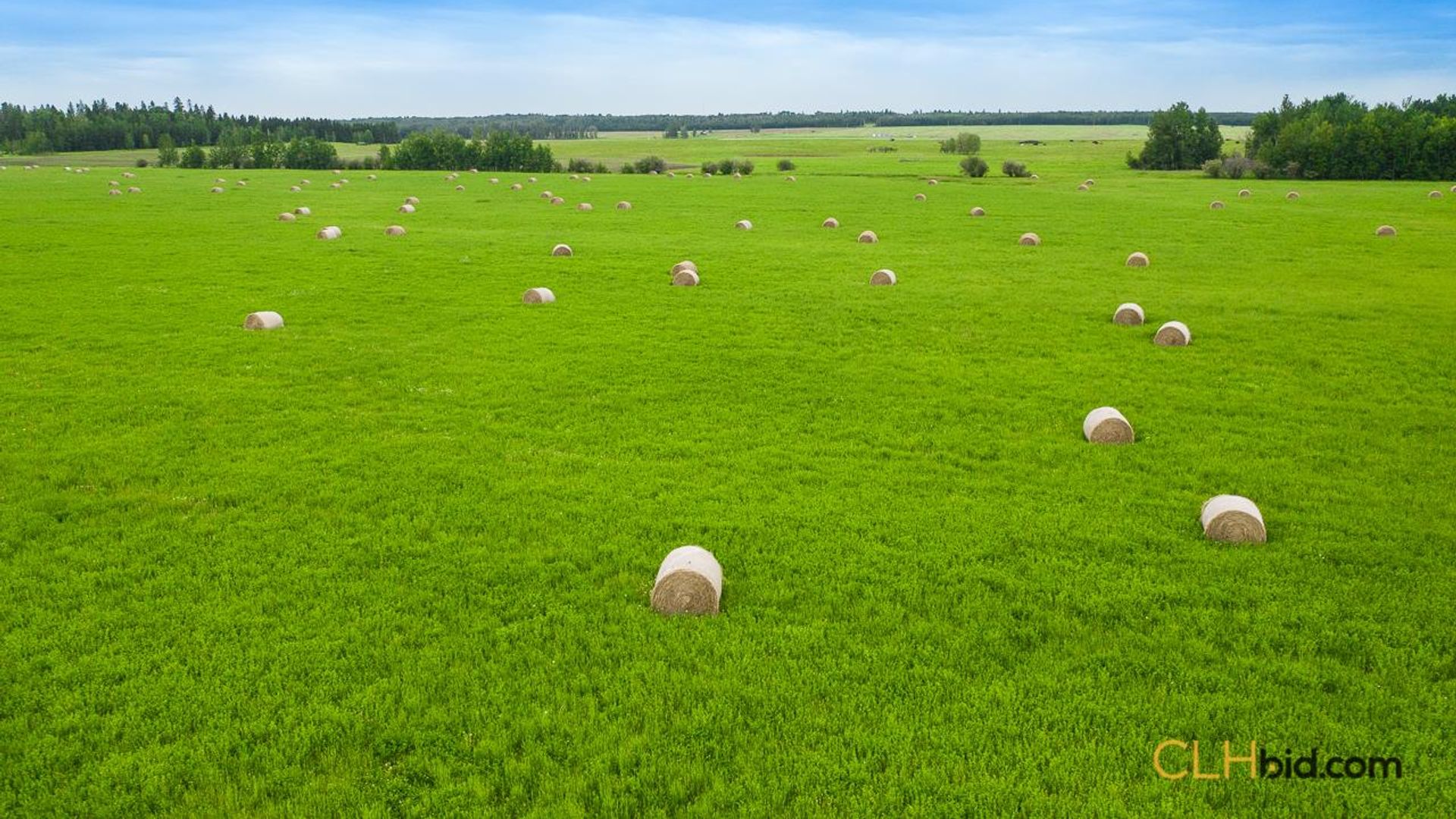 warburgdoubletree-1-5