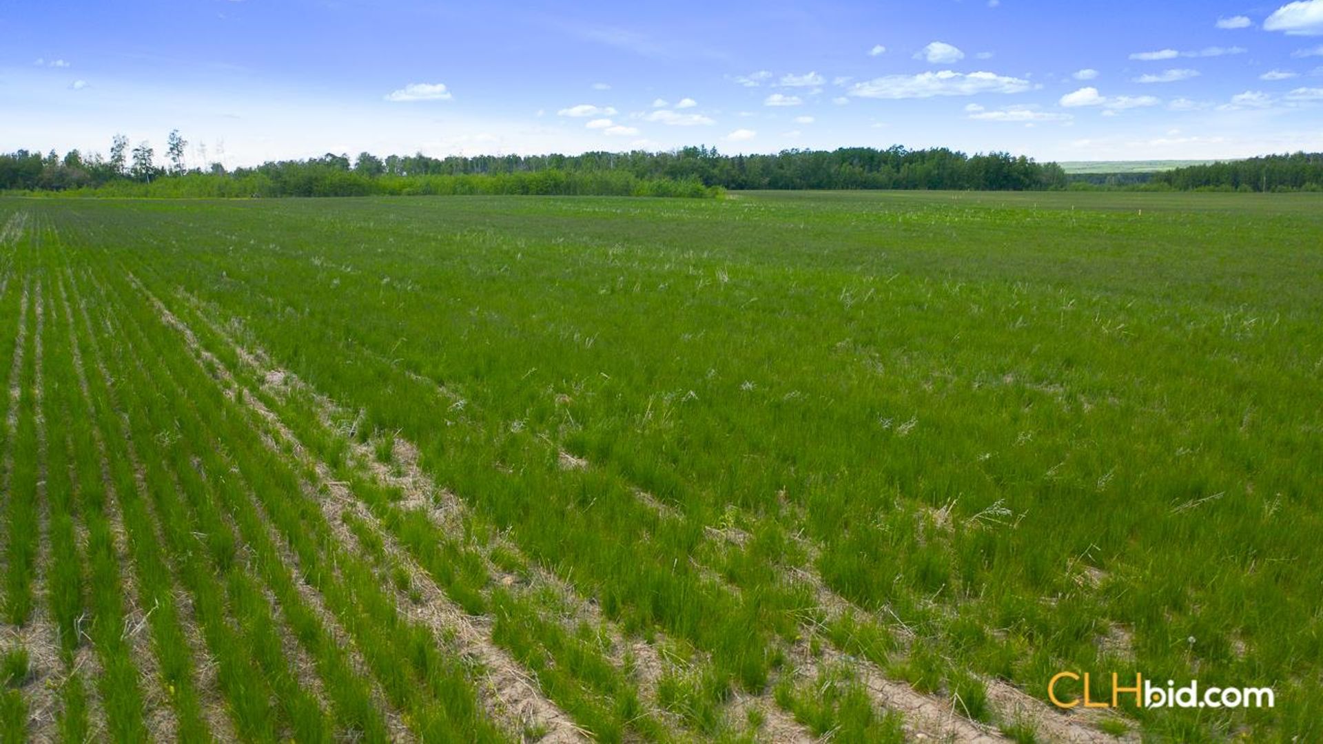 bigskymountainview-2-3