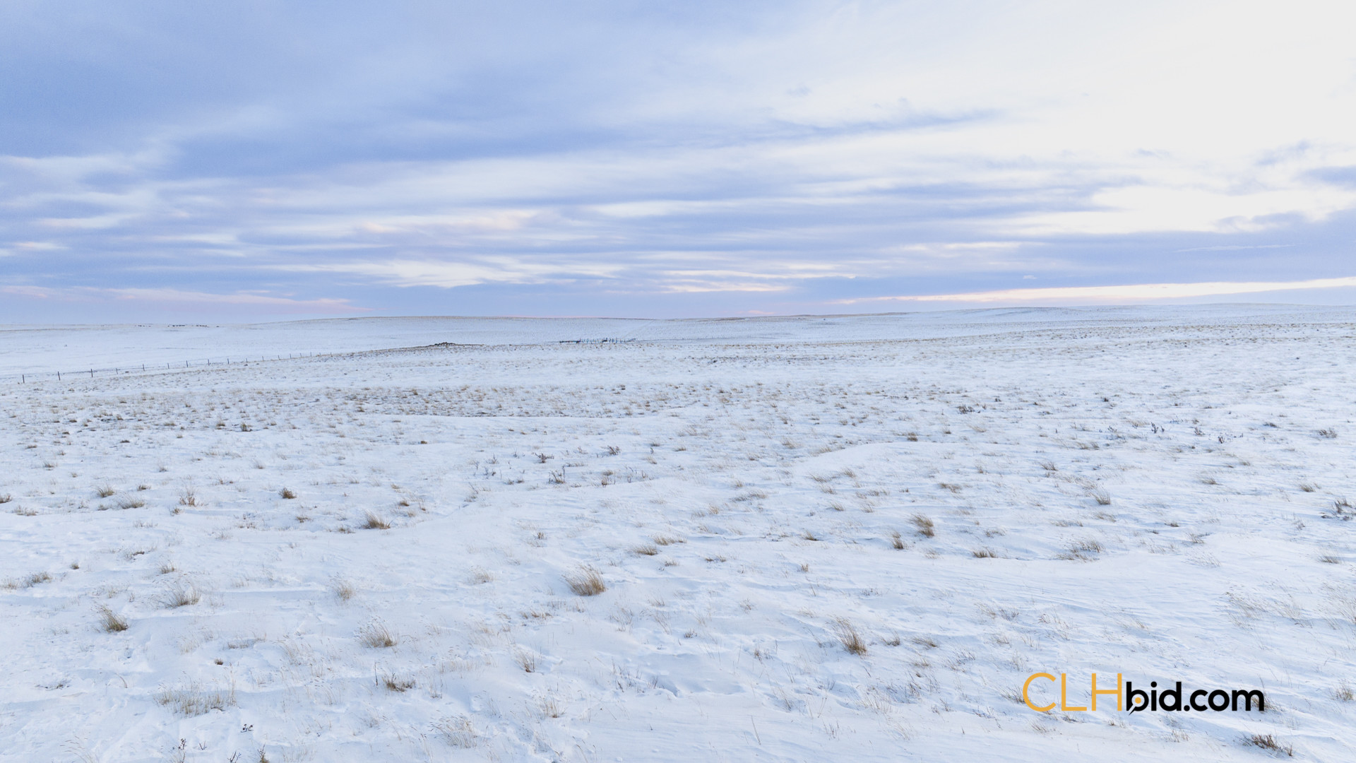 P2 Web169-AcresOfPedigree-24