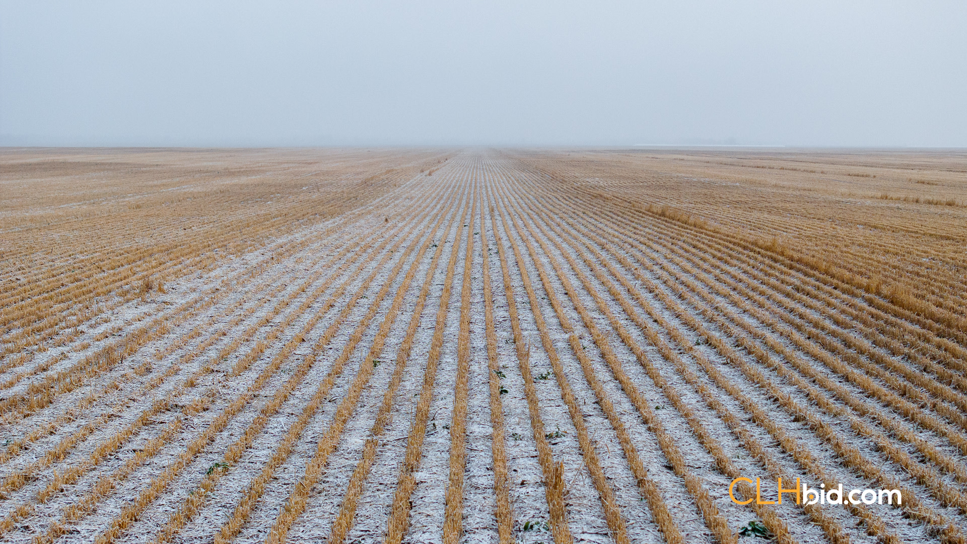 Web Tangent Bounty-7