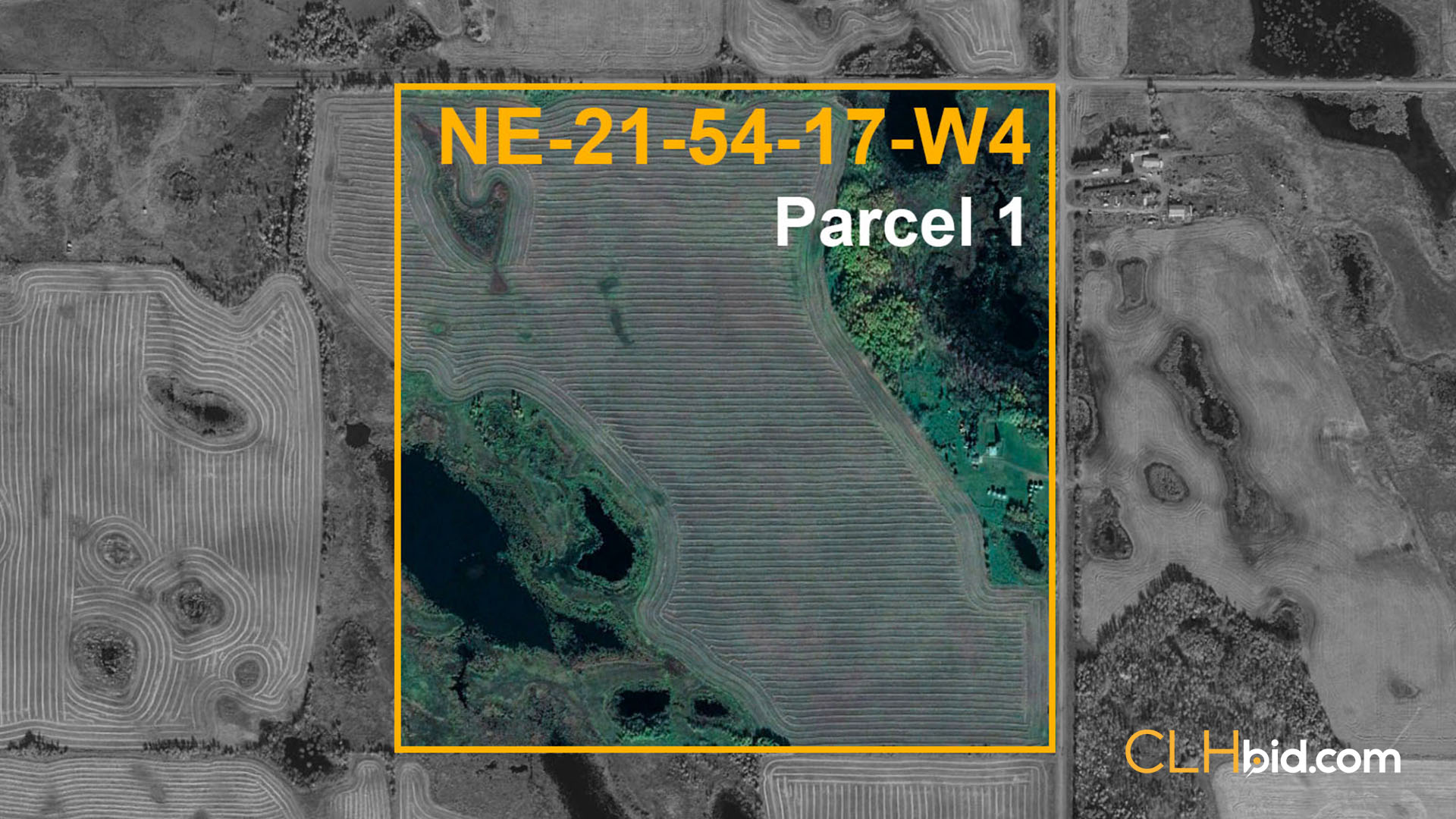 Parcel 1 Lamont 320 - WIDE Contentful