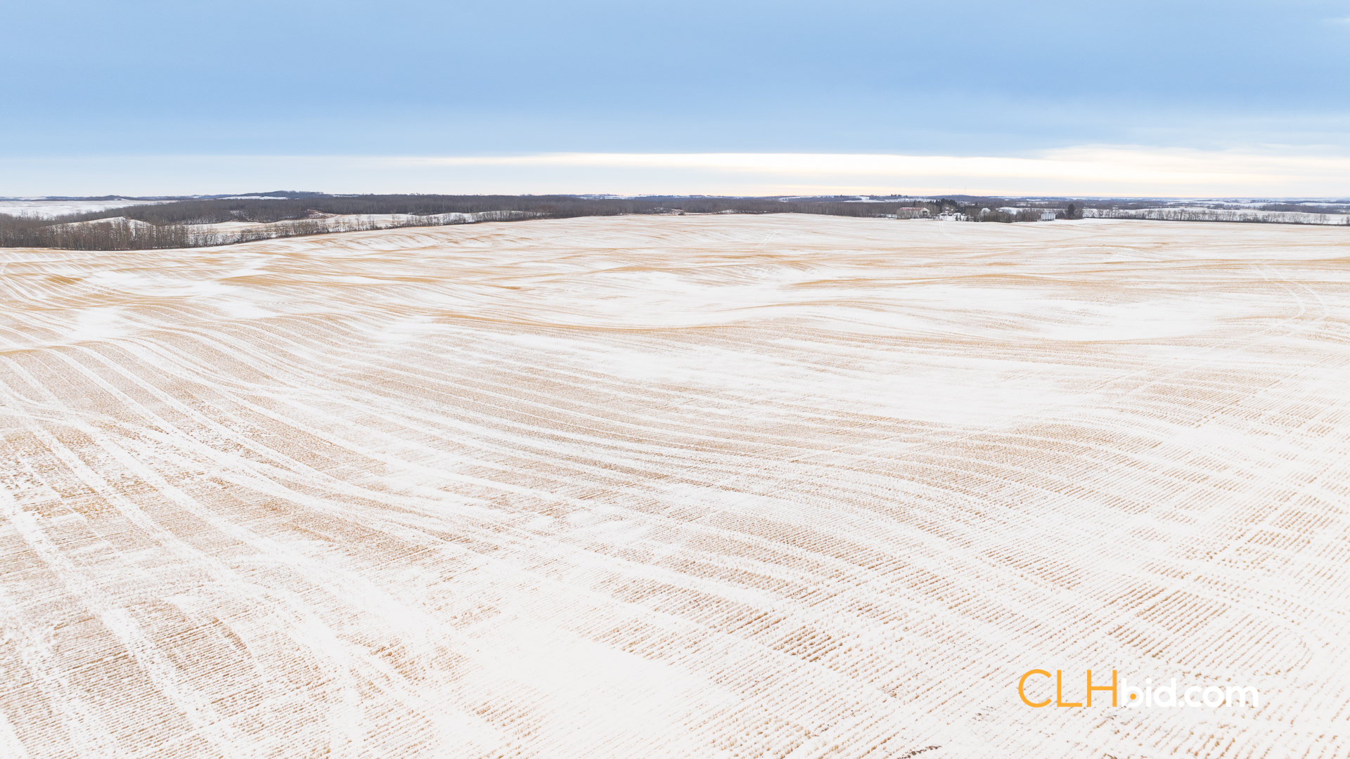 Web-InnisfreeBonus-9