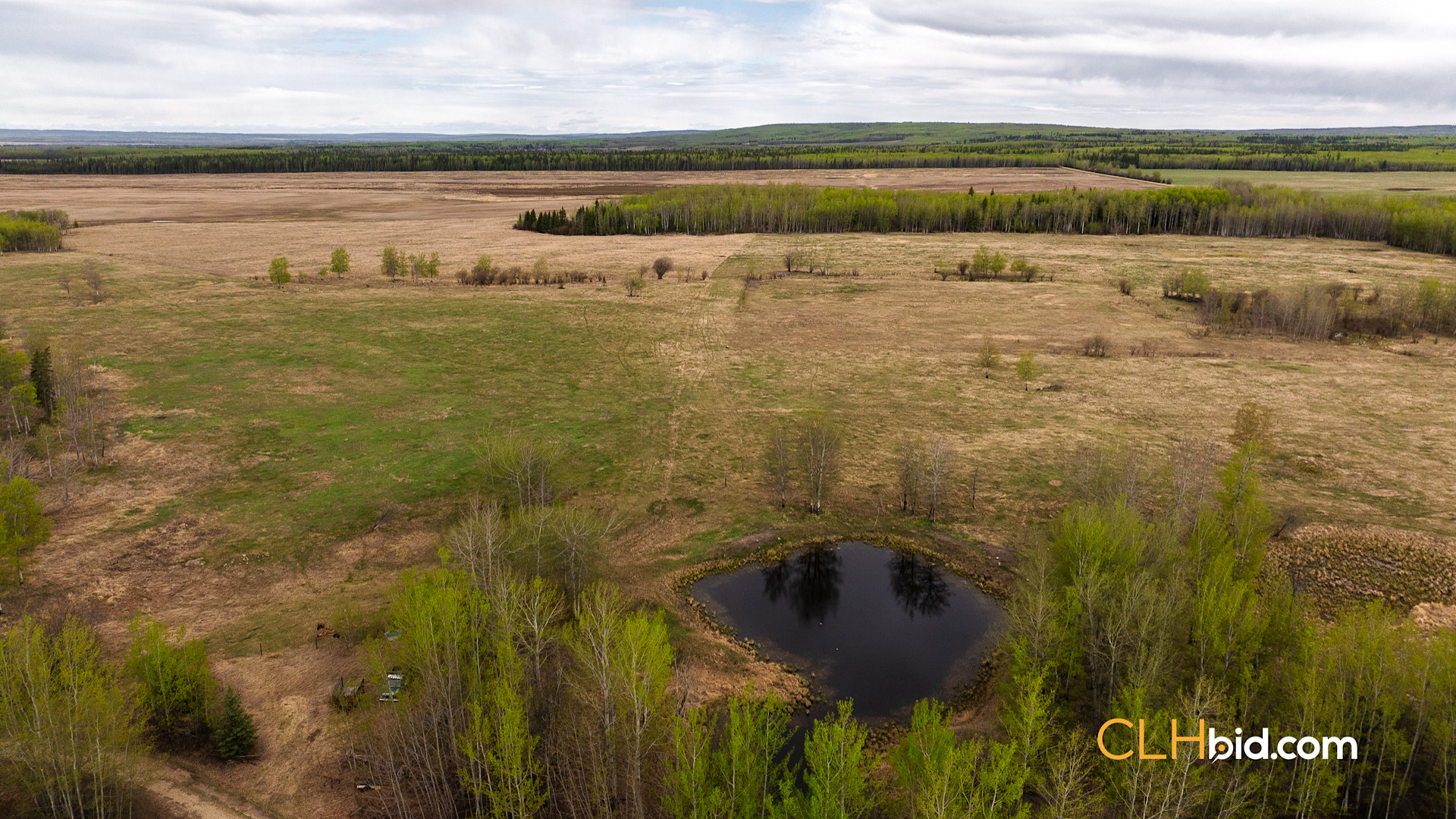 Web Deer Hill Homer Spring-15