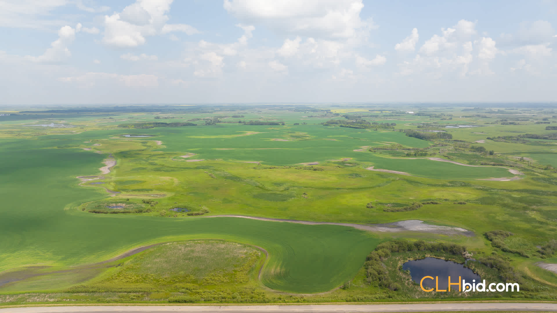 Web-ShoalLake-11