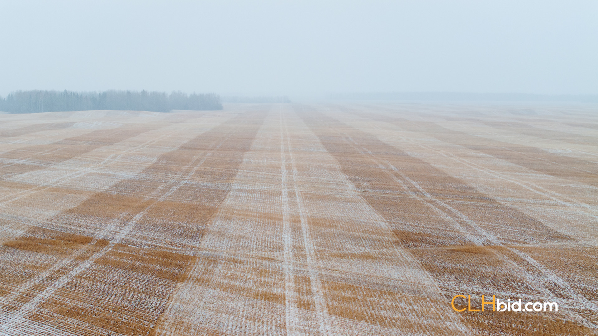 Web Tangent Bounty-7