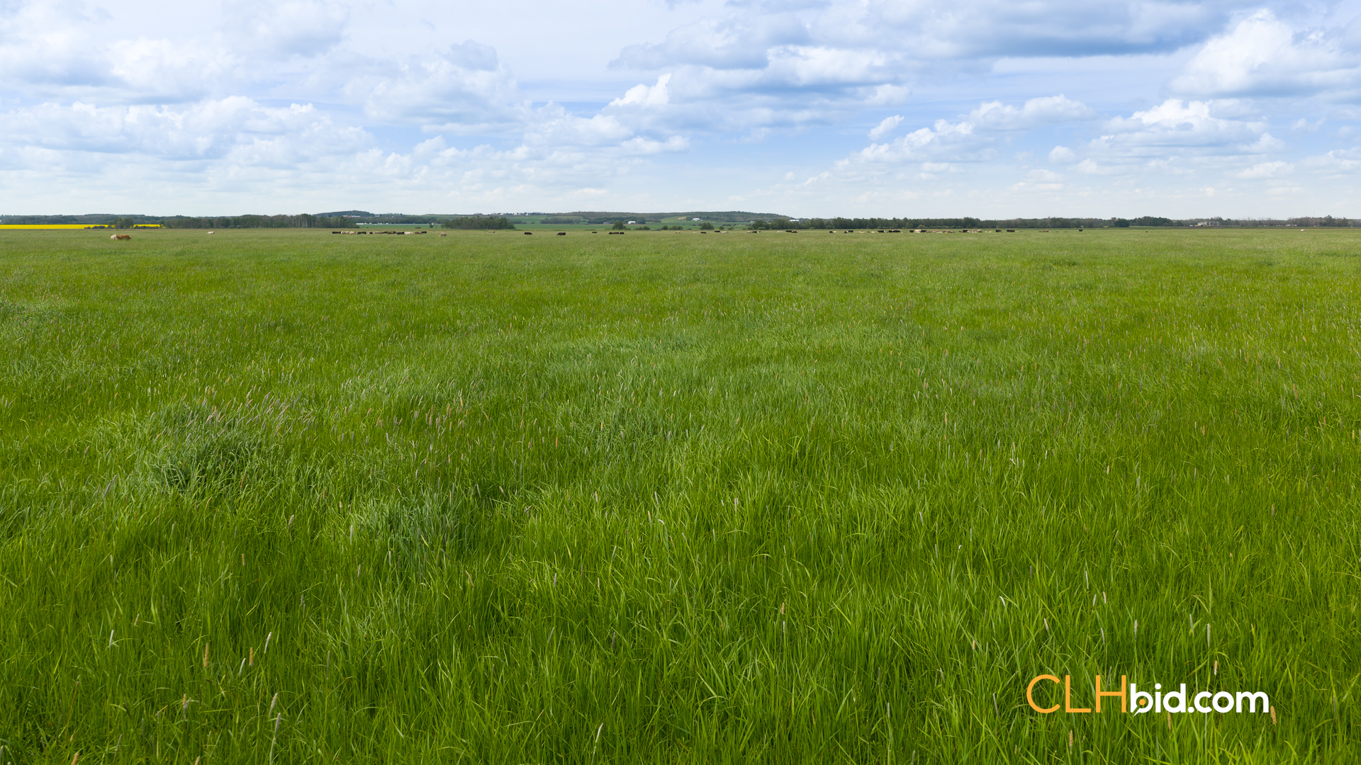 Web-SylvanLakeCountry-6