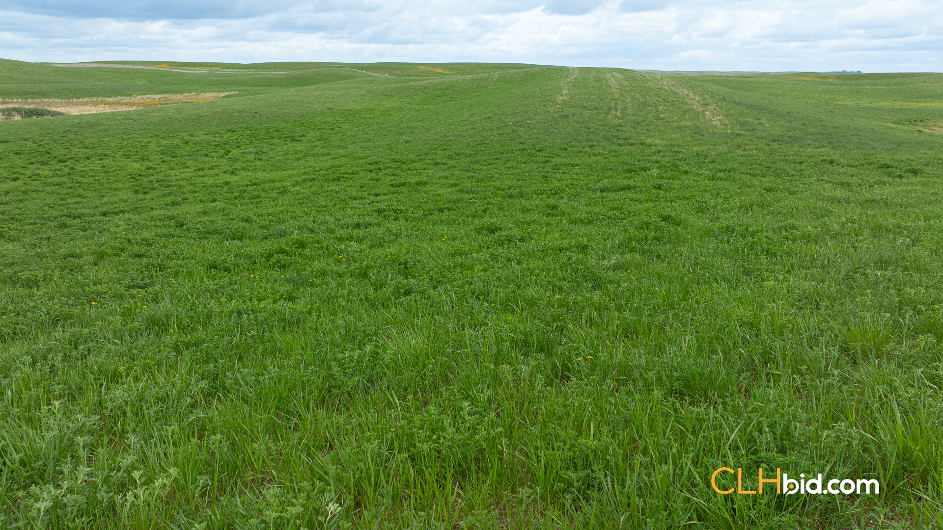 Web-LegacyMoveNEW-21