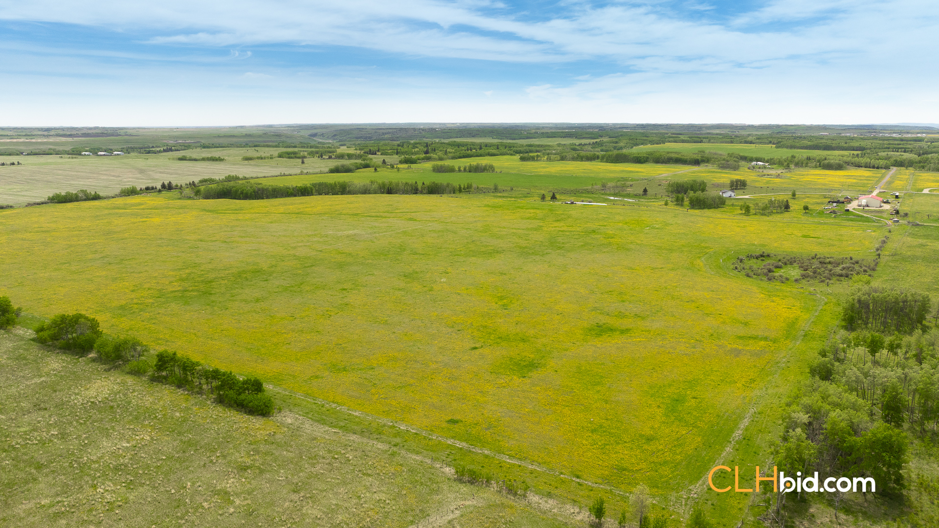 Web-CochraneDynastyJune-1