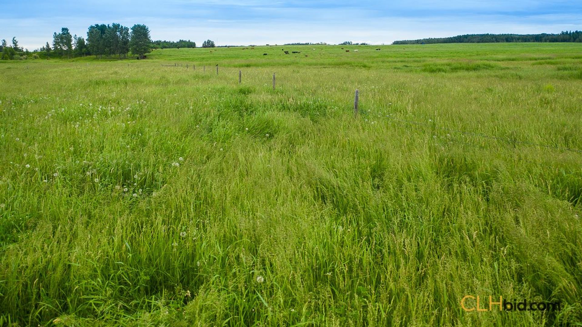 warburgdoubletree-2-12