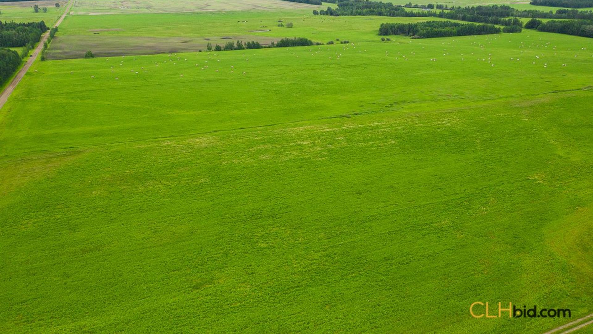 warburgdoubletree-1-7