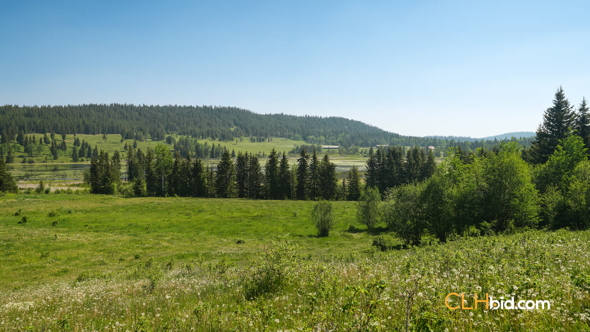 Web-CrystalWatersRanch-20