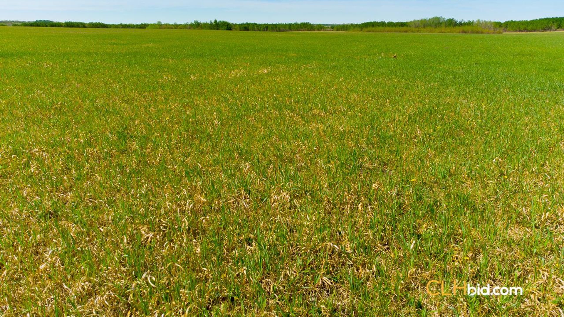 crossheritagefarm-7-8