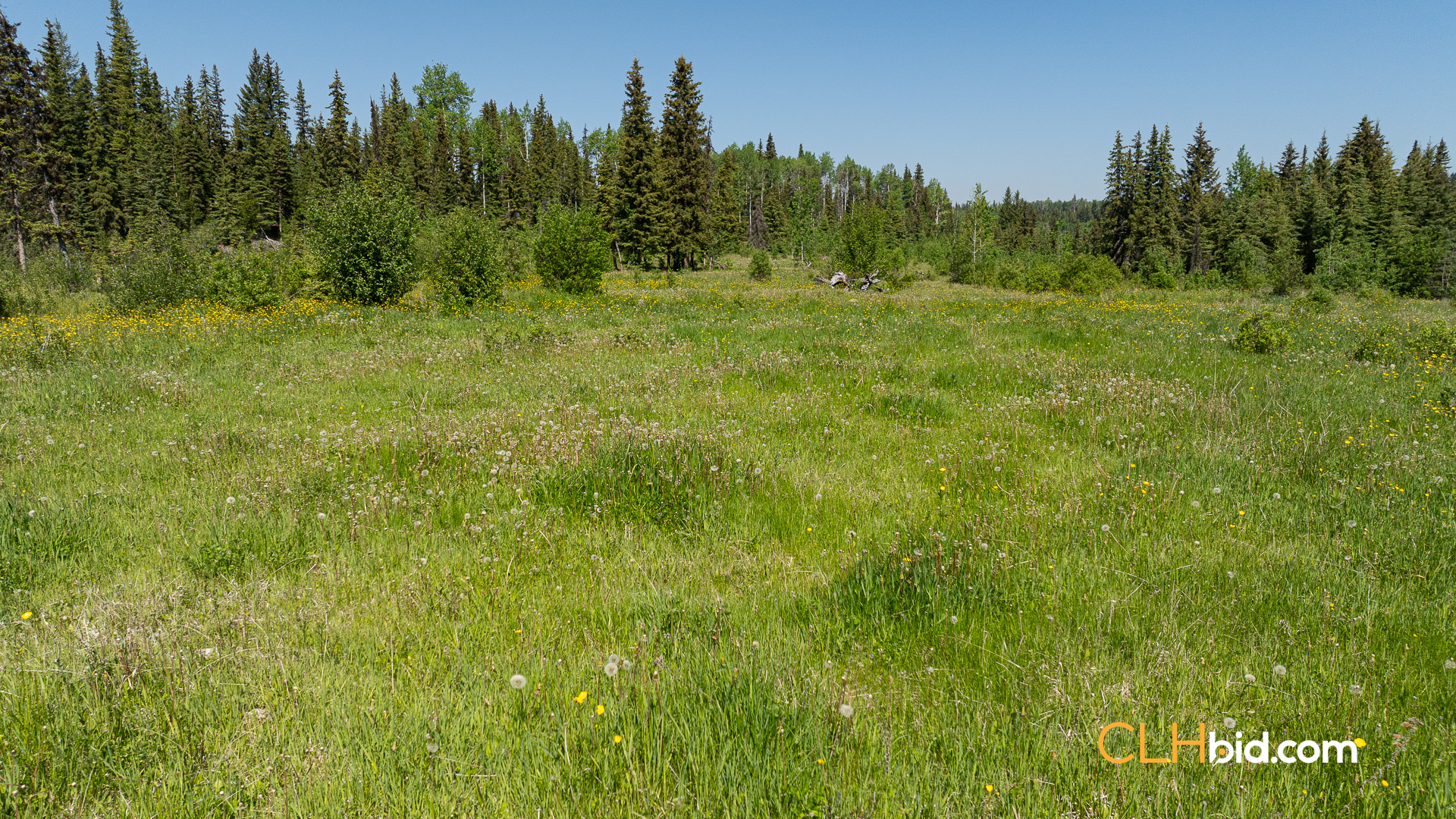 Web-CrystalWatersRanch-18