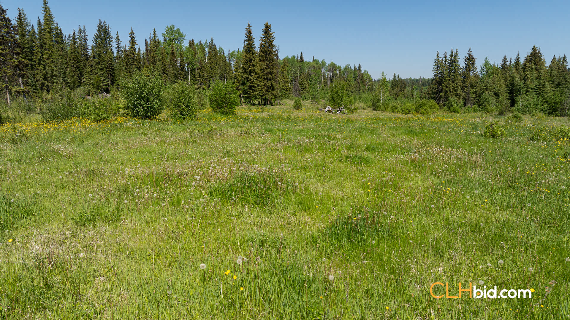 Web-CrystalWatersRanch-18