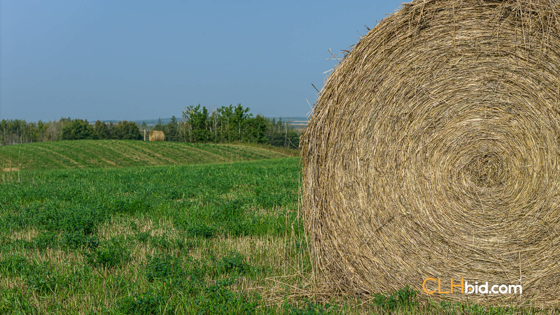 Web-Homestead Horizon-14