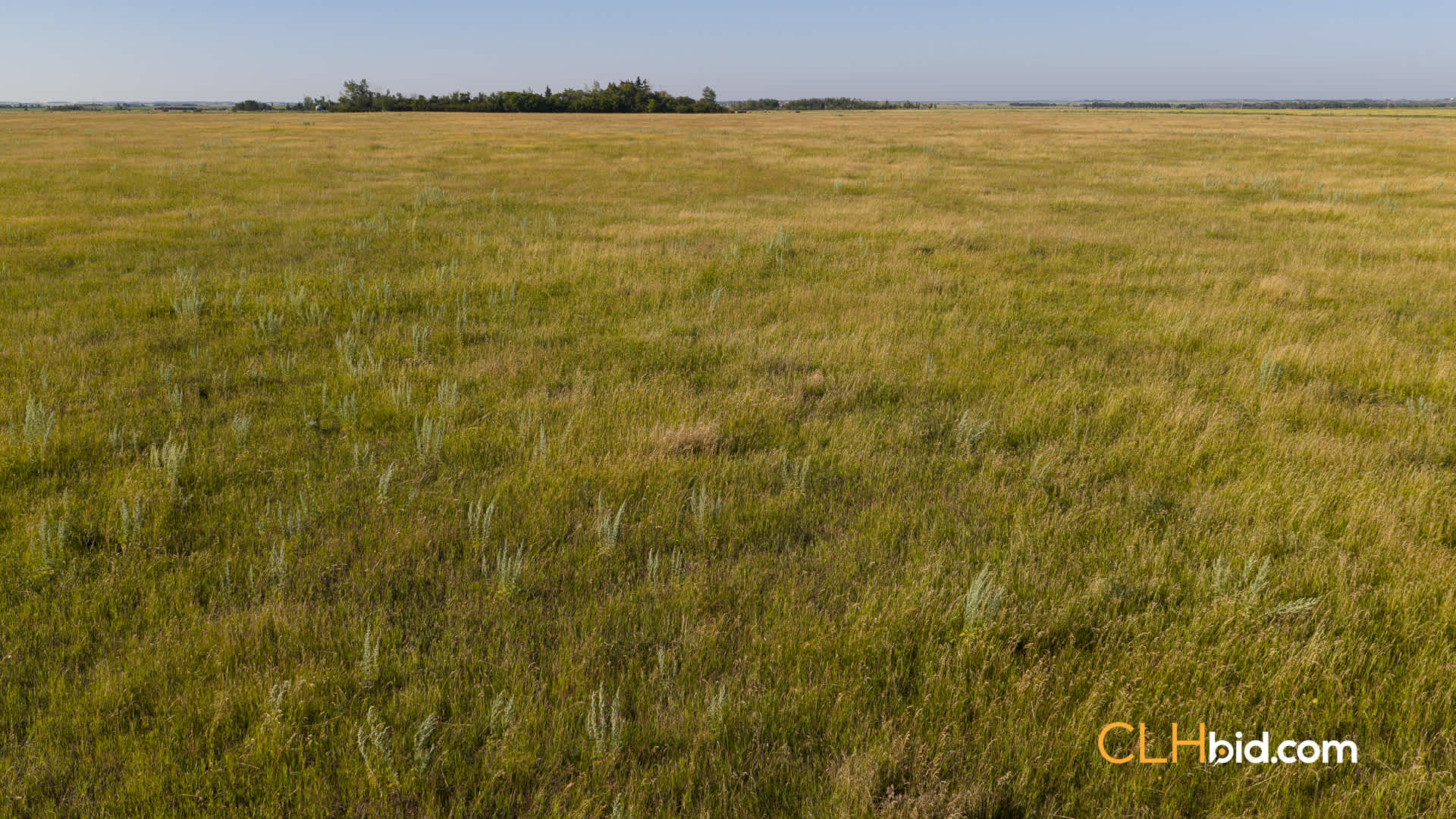 Web-BigSky-6