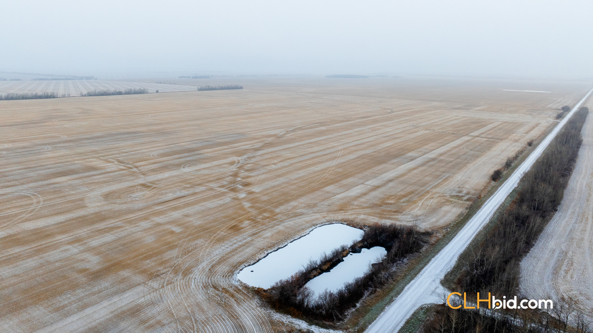 Web Tangent Bounty-1