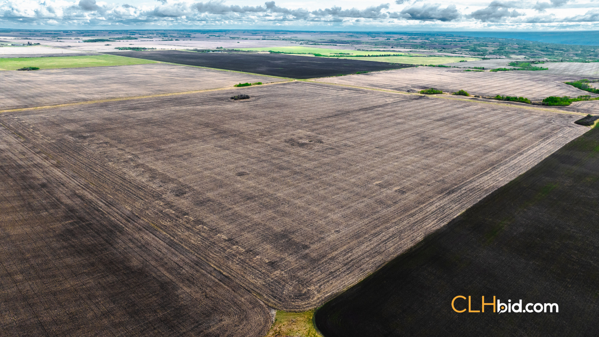 Web Brownvale Spring-5