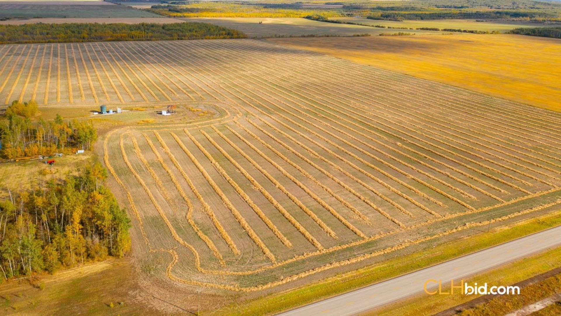 optionsalongthebend-1-6