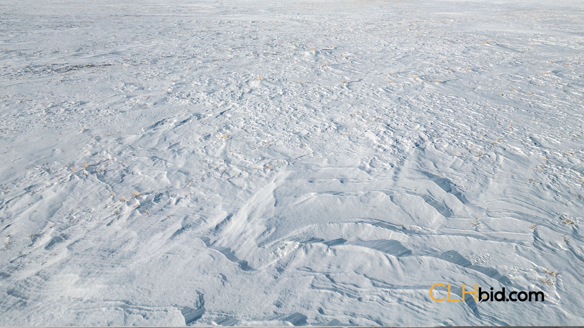 Cartwright Four Contentful 18