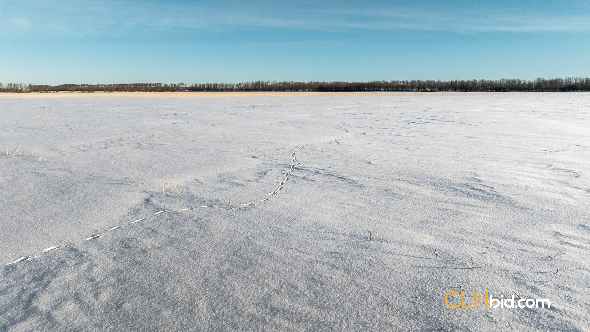 Web Trois Grandiose P1-5