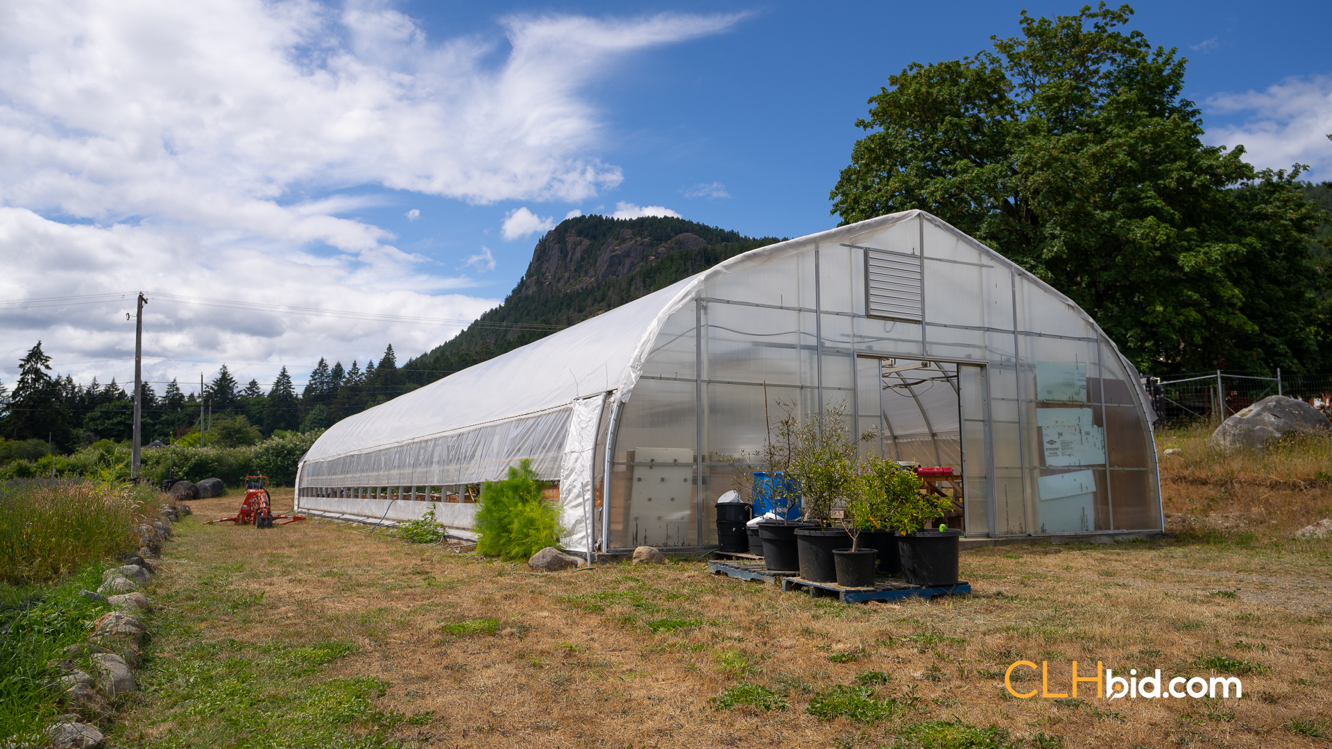 Web-OliveFarmNew-55