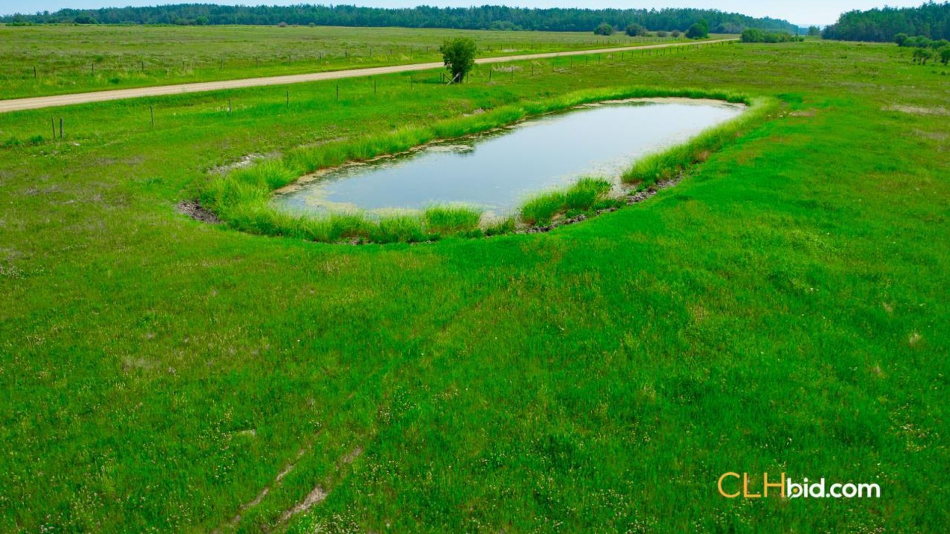 cattledrivecountry-5-2