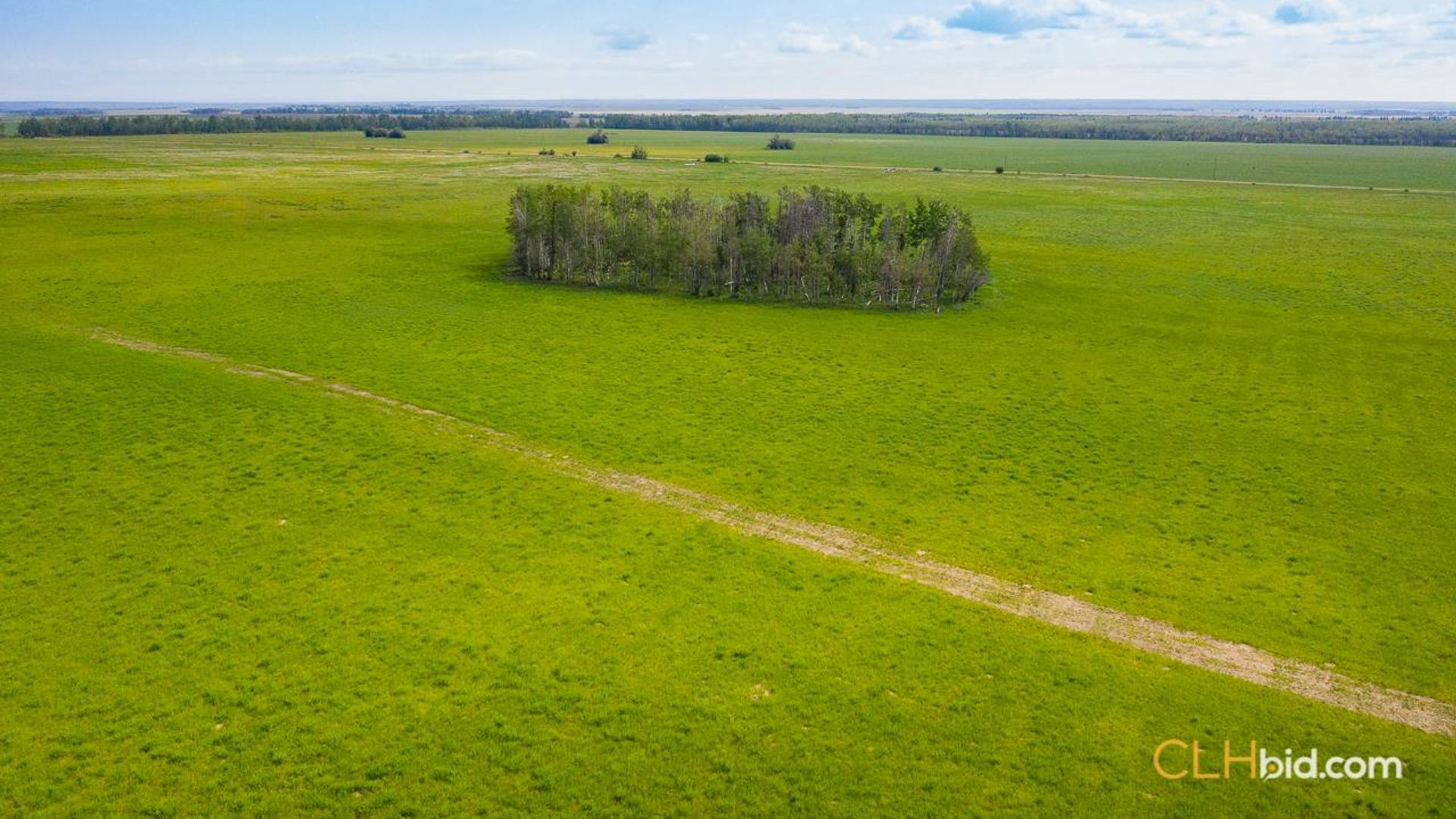 silvervalleydiamondintherough-1-3