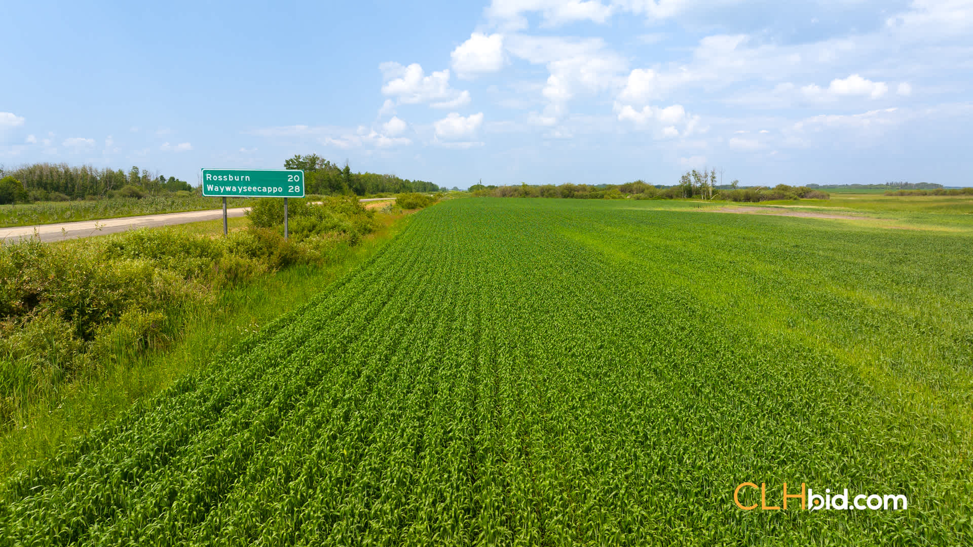 Web-ShoalLake-1