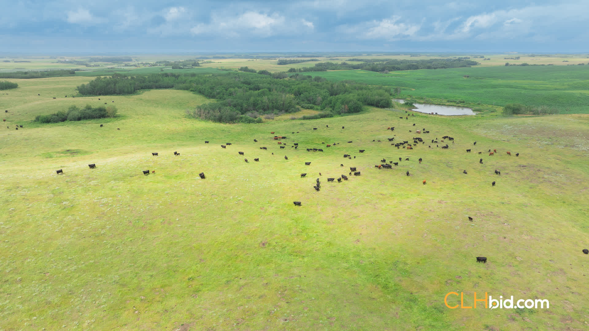 View from above of Provost Triad