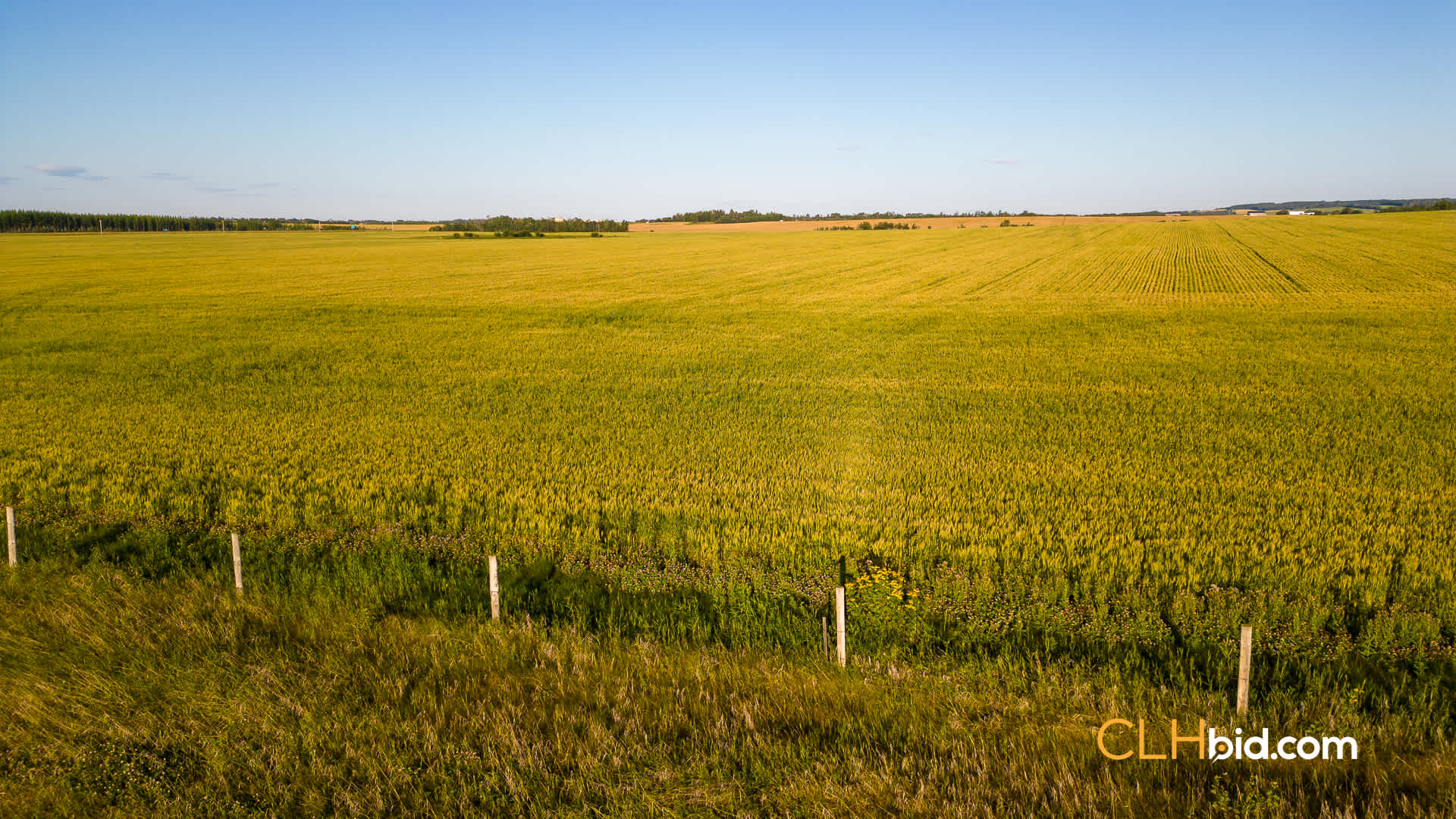 Web Lake Saskatoon-6