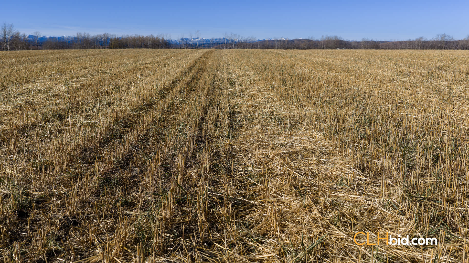 Web-Foothills-31