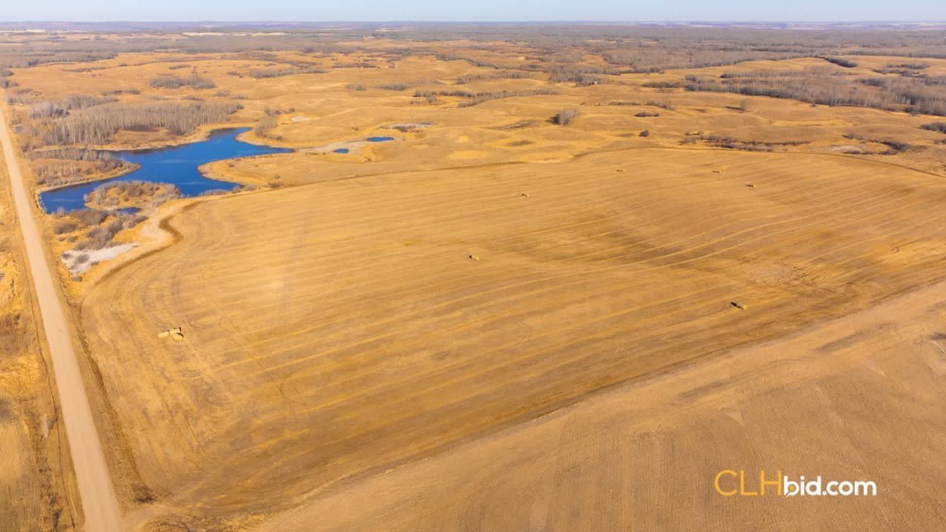 View from above of Bee's Power Play