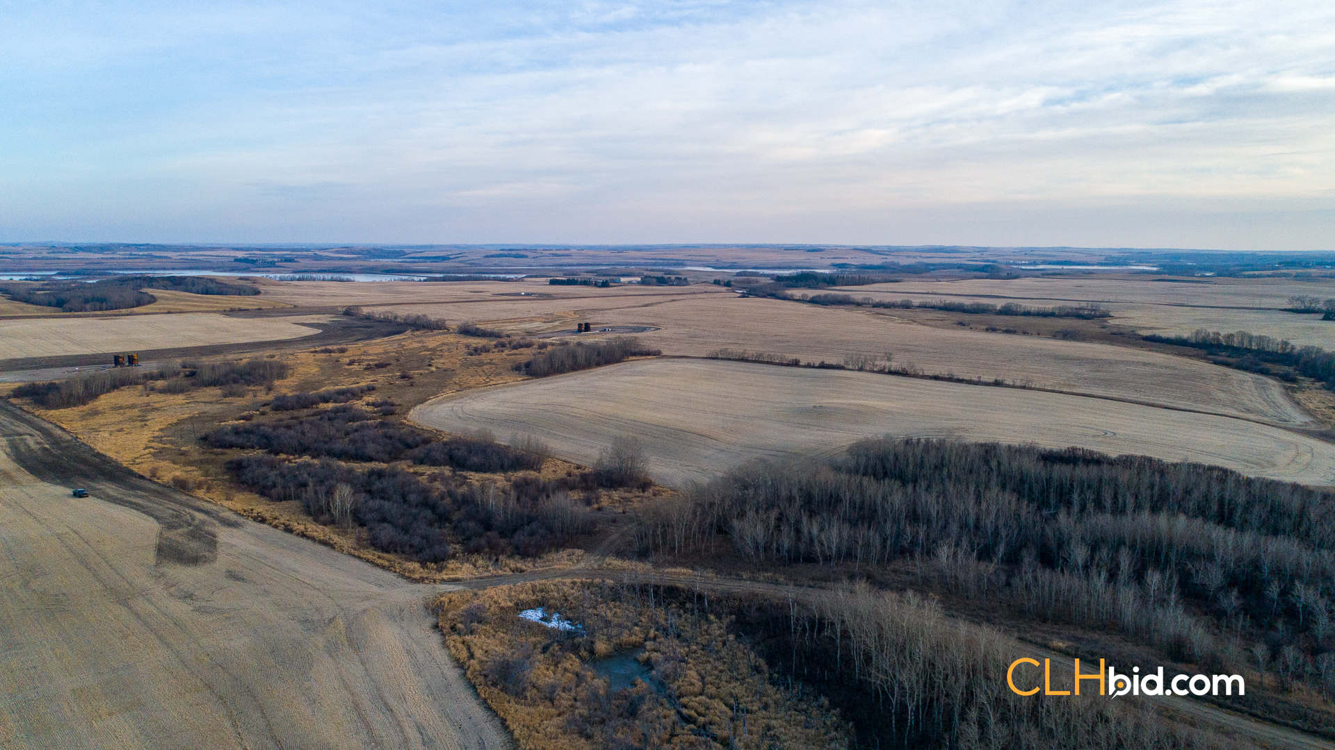 Web-Nine-Of-Diamonds-45