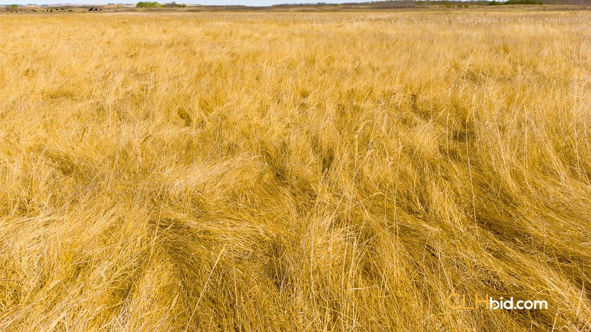 crossheritagefarm-6-7