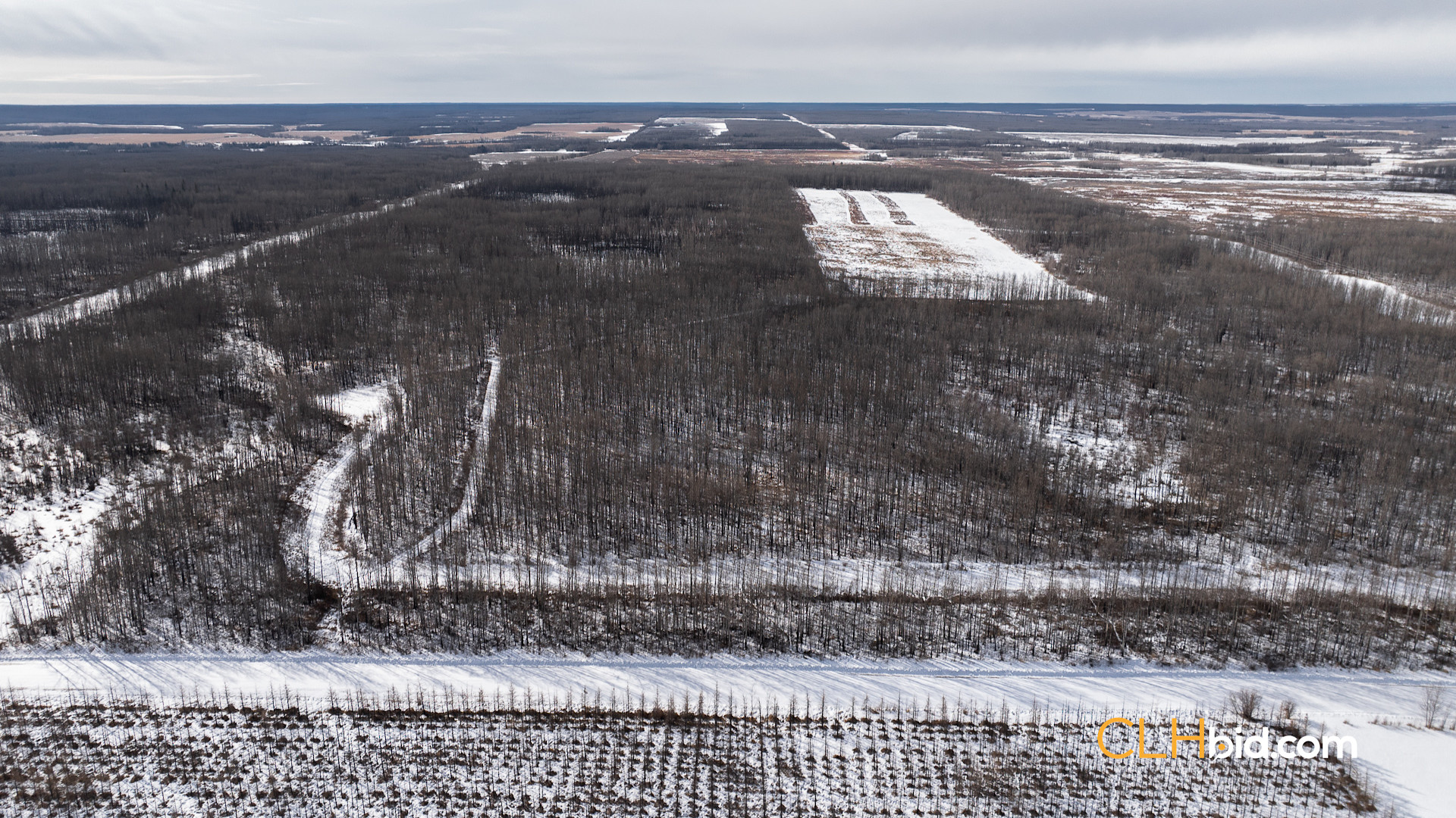 Web Sunrise Igniter-2