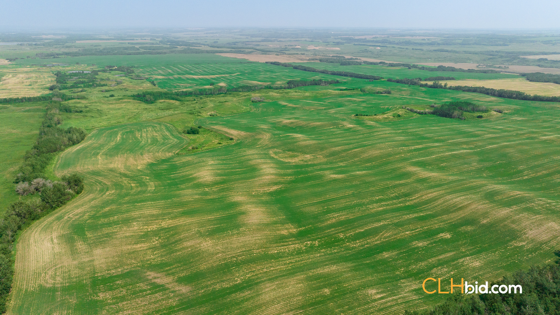 Web-Innisfree8Summer-56