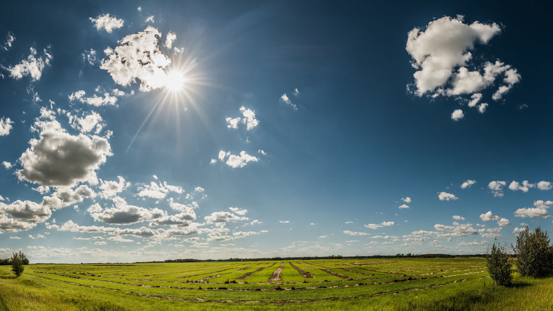 016 0967-Pano small