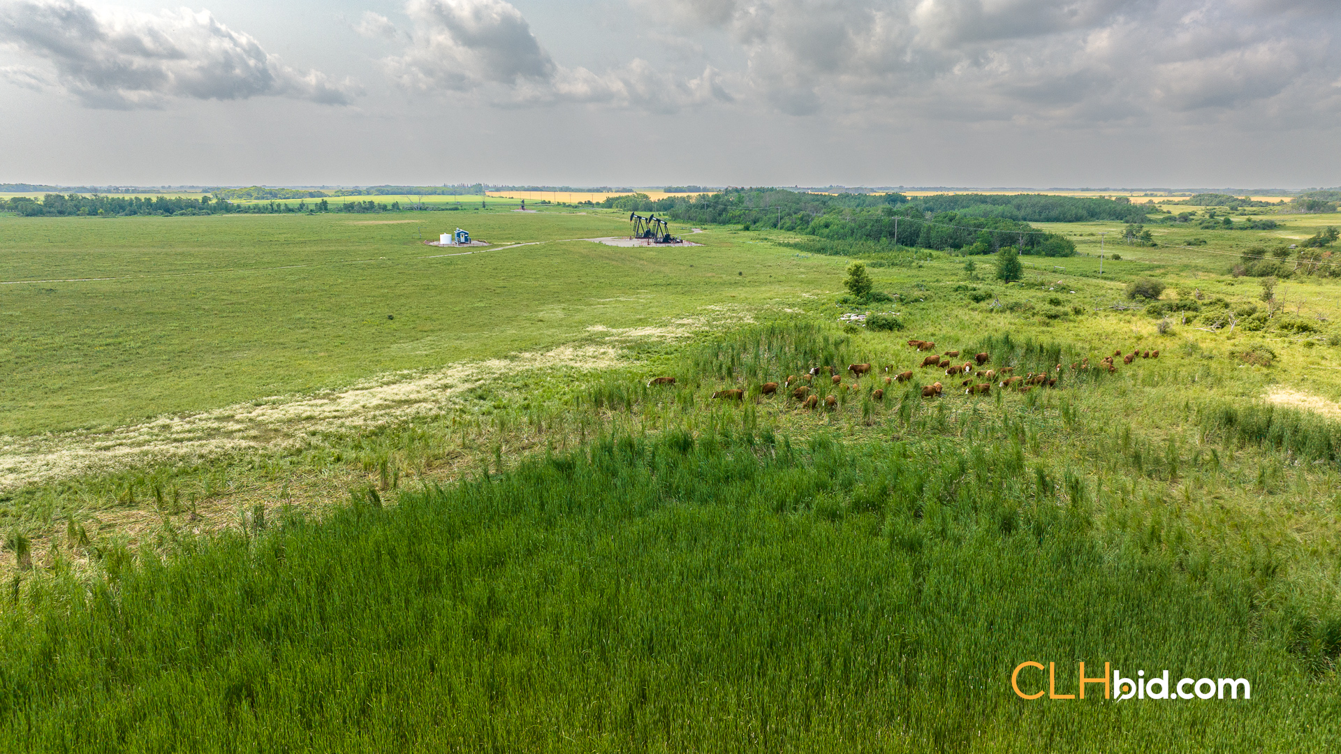 Web-Virden-Select-22