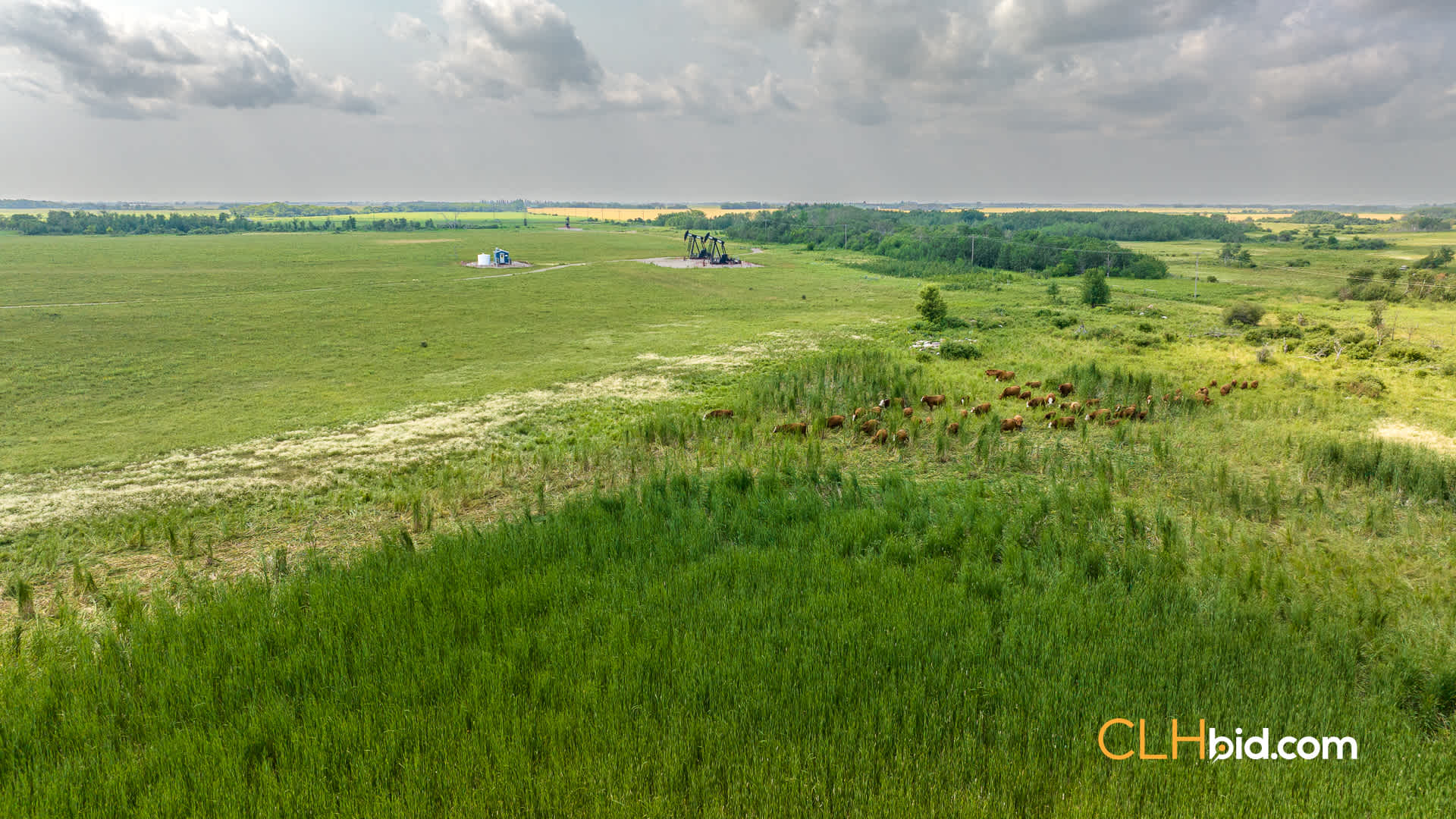 Web-Virden-Select-22