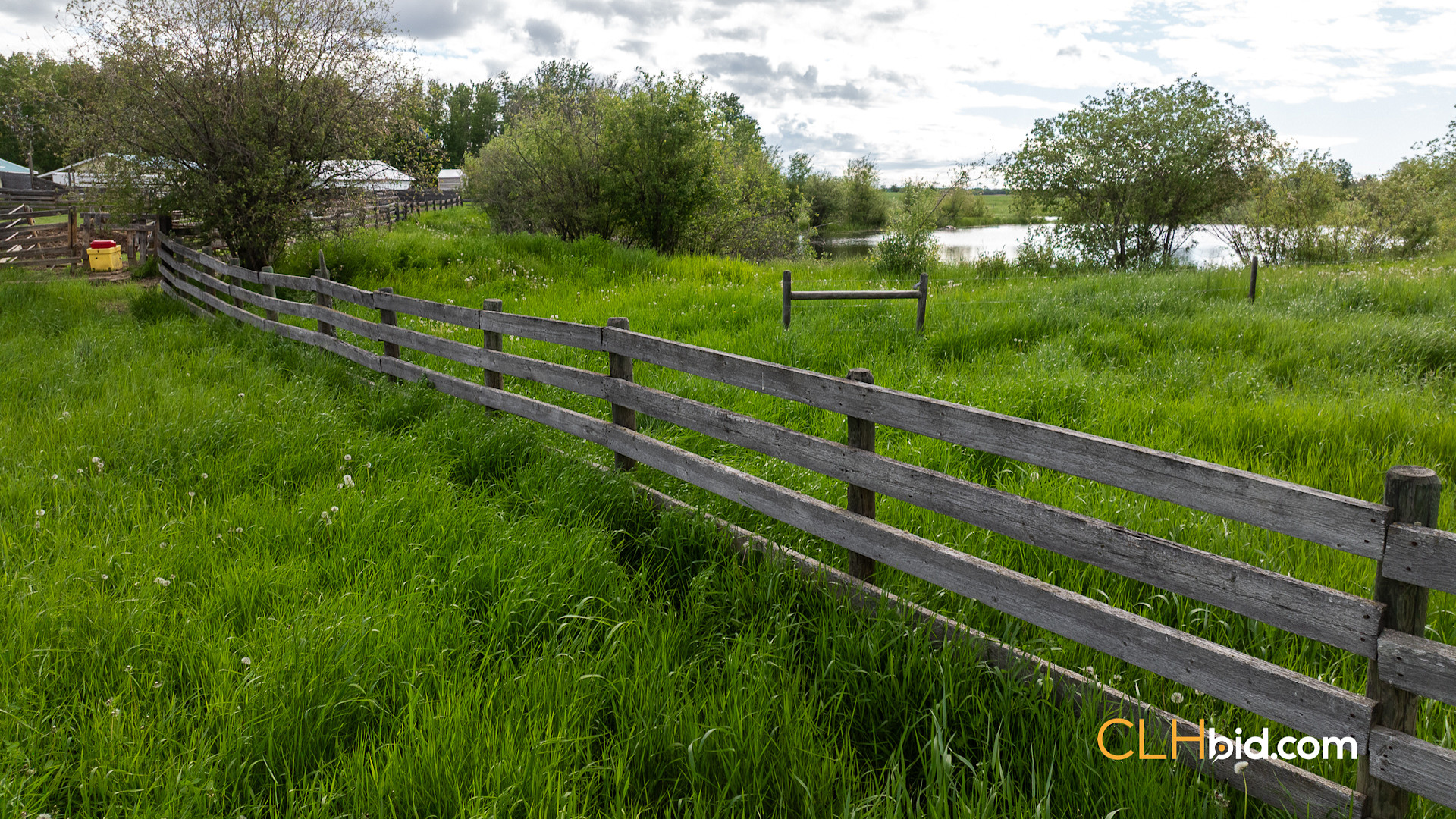 Web The Cattle Crossing-21