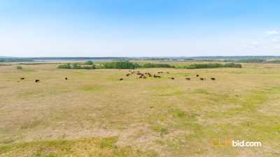 Paradise Hill Bison Ranch